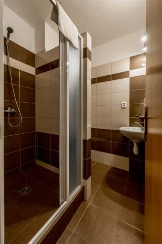 parkhotel-mozolov-ceska-republika-nadejkov-pokoj-koupelna (2).j