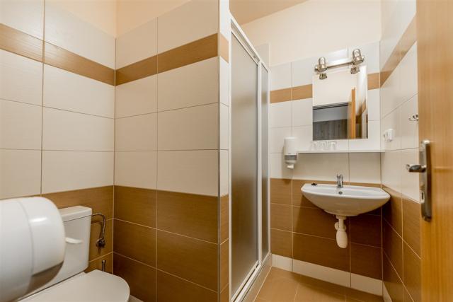 parkhotel-mozolov-ceska-republika-nadejkov-pokoj-koupelna.jpg