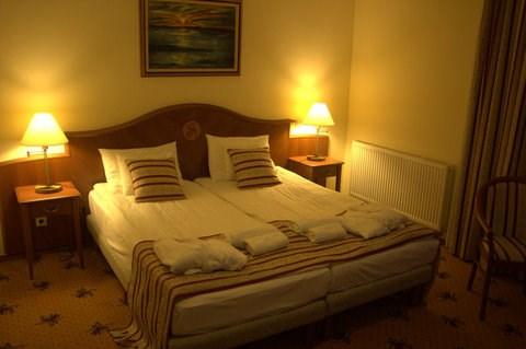 hotel-sante-heviz-hv05-pokoj-6.jpg