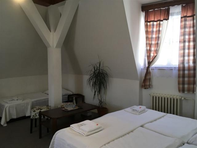 penzion-alfa-cesko-tabor-pokoj (12).jpg