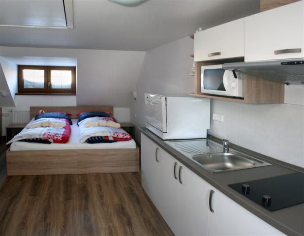 apartmany-stein-bozi-dar-foto-apartmanu-s-kuchynkou-2.jpg
