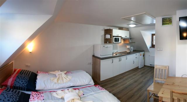apartmany-stein-bozi-dar-foto-apartmanu-s-kuchynkou-3.jpg
