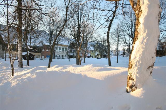 apartmany-stein-bozi-dar-okoli-v-zime-5.jpg