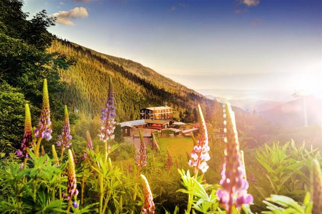 hotel-srdiecko-slovensko-chopok-pohled-na-hotel (2).png
