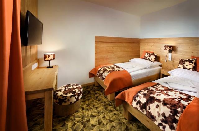 hotel-srdiecko-slovensko-chopok-dvouluzkovy-pokoj-twin.png