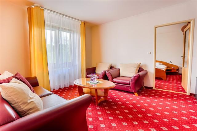 ensana-spa-smrdaky-slovensko-smrdaky-apartman-standard-morava (