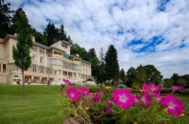 hotel-dum-bedricha-smetany-ceska-republika-luhacovice-lazne-poh