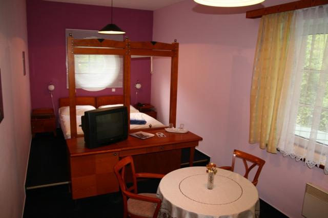 hotel-skalni-mlyn-blansko-ubytovani-vybaveni-pokoje-4.JPG