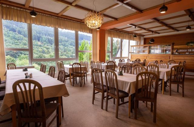 -hotel-dlouhe-strane-kouty-nad-desnou-restaurace (2).jpg