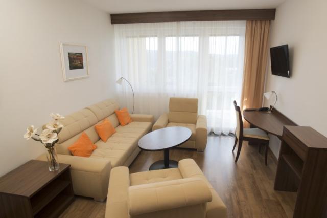 hotel-nivamare-ceska-republika-luhacovice-pokoj-exclusive.jpg