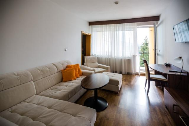 hotel-nivamare-ceska-republika-luhacovice-pokoj-exclusive (2).j