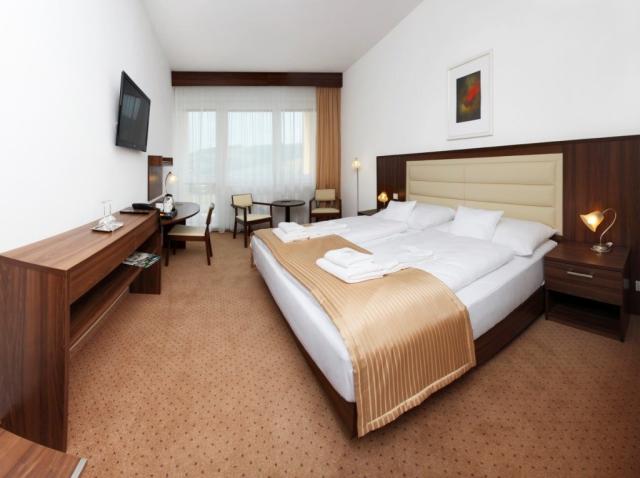 hotel-nivamare-ceska-republika-luhacovice-pokoj-superior.jpg