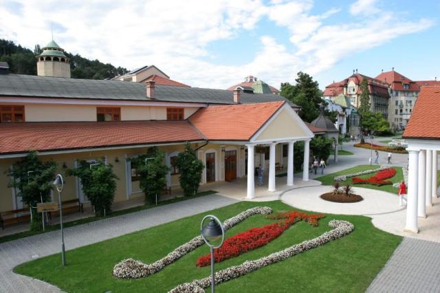hotel-jalta-slovensko-piestany-lazensky-ostrov (4).jpg