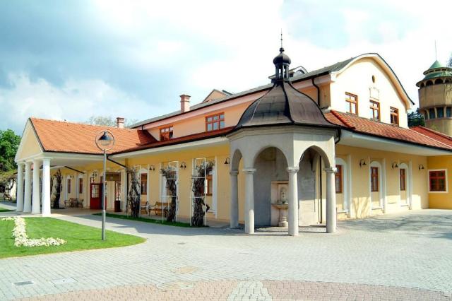 hotel-jalta-slovensko-piestany-lazensky-ostrov (5).jpg