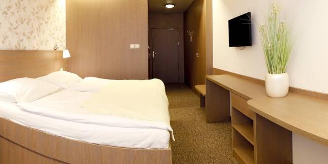 wellness-hotel-maj-slovensko-piestany-pokoj-comfort (3).jpg