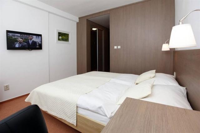 wellness-hotel-maj-slovensko-piestany-pokoj-comfort (2).jpg