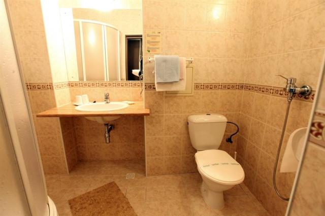wellness-hotel-maj-slovensko-piestany-pokoj-comfort-koupelna.jp