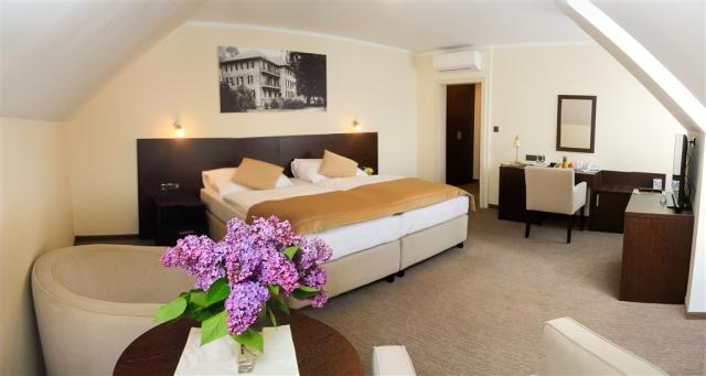 hotel-pro-patria-slovensko-piestany-pokoj (2).jpg