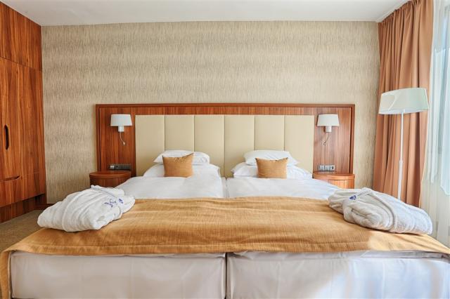 hotel-esplanade-slovensko-piestany-pokoj (3).jpg