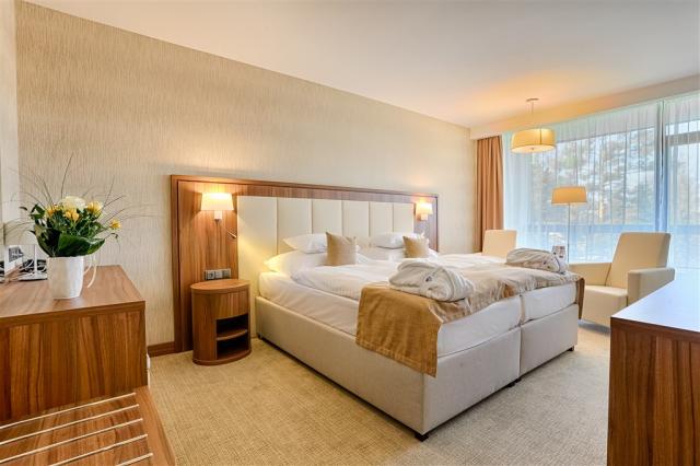 hotel-esplanade-slovensko-piestany-pokoj (6).jpg