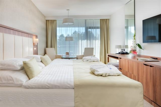hotel-esplanade-slovensko-piestany-pokoj (4).jpg