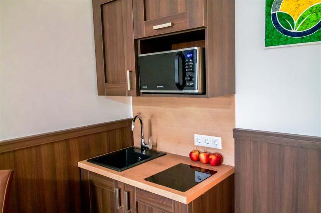 park-hotel-buk-madarsko-buk-dvouluzkovy-pokoj-deluxe-s-balkonem