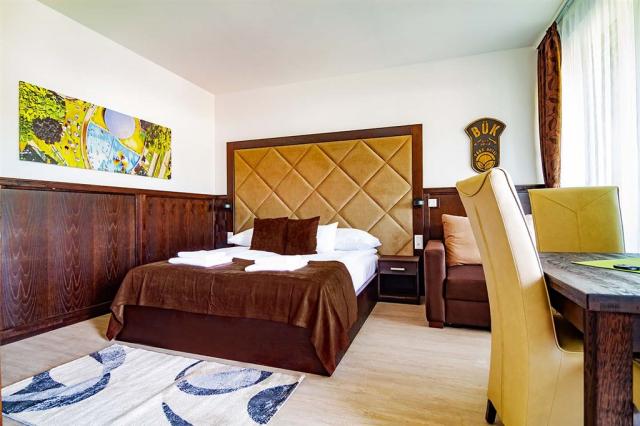 park-hotel-buk-madarsko-buk-dvouluzkovy-pokoj-deluxe-s-terasou 