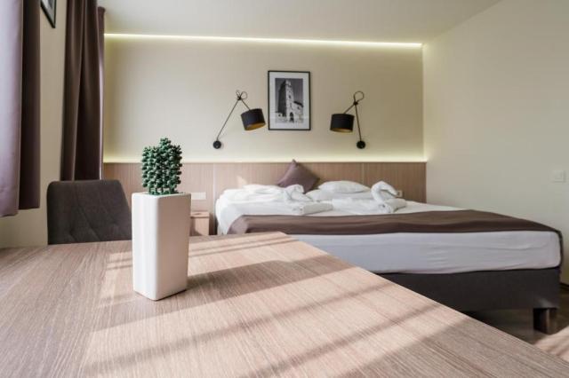 hotel-amstel-hattyu-madarsko-gyor-dvouluzkovy-pokoj.jpg