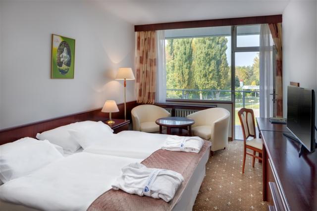 hotel-splendid-slovensko-piestany-pokoj-comfort (2).jpg