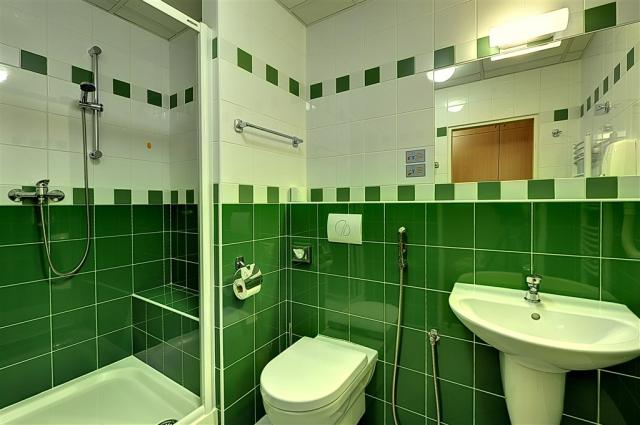 Behounek_bathroom_Cat. I. A_SGL.jpg