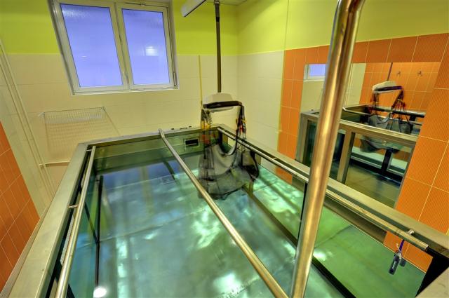 Behounek_individual exercises in the pool - 2.jpg