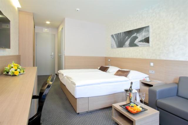 hotel-jezerka-ceska-republika-sec-dvouluzkovy-pokoj-komfort.jpg
