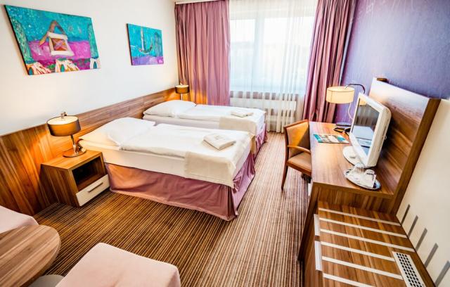 kupele-dudince-slovensko-dudince-hotel-mineral (10).jpg