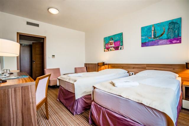 kupele-dudince-slovensko-dudince-hotel-mineral (5).jpg