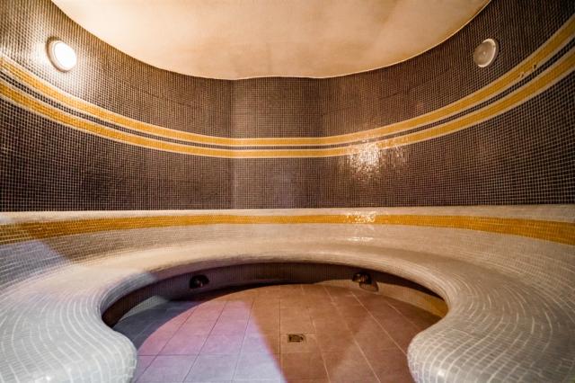 kupele-dudince-slovensko-dudince-hotel-mineral.png
