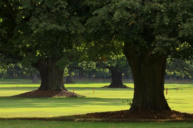 penzion-golf-bechyne-park.jpg
