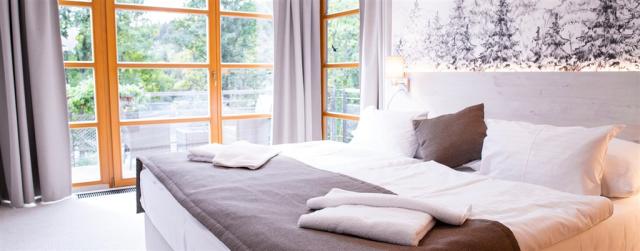 hotel-amenity-ceska-republika-spindleruv-mlyn-apartman-junior.j