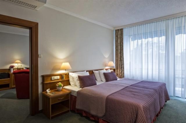 hotel-thermal-heviz-madarsko-heviz-dvouluzkovy-apartman (2).png