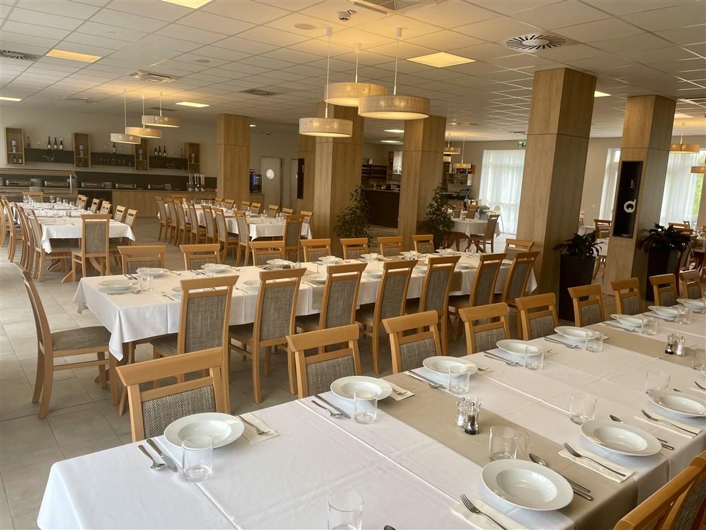 hotel-gyirmot-madarsko-gyor-restaurace.jpg