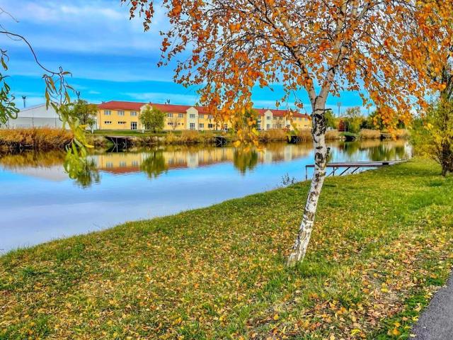 hotel-gyirmot-madarsko-gyor-jezero.jpg
