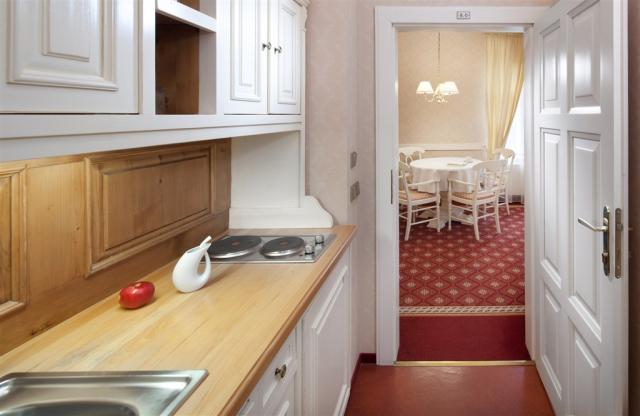 vila-alpska-ruze-ceska-republika-luhacovice-apartman (5).jpg