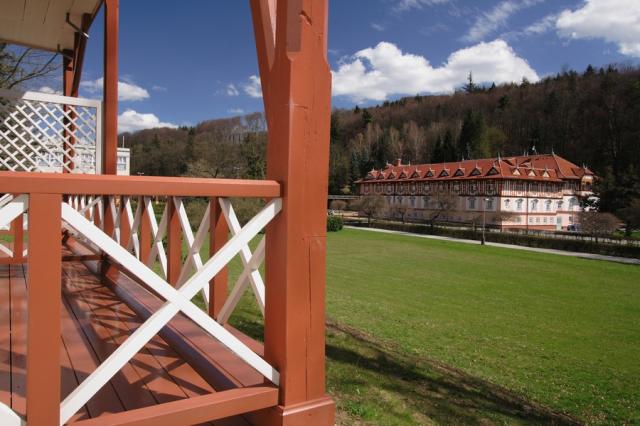 vila-alpska-ruze-ceska-republika-luhacovice-vyhled.jpg