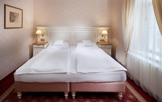 vila-alpska-ruze-ceska-republika-luhacovice-apartman (6).jpg