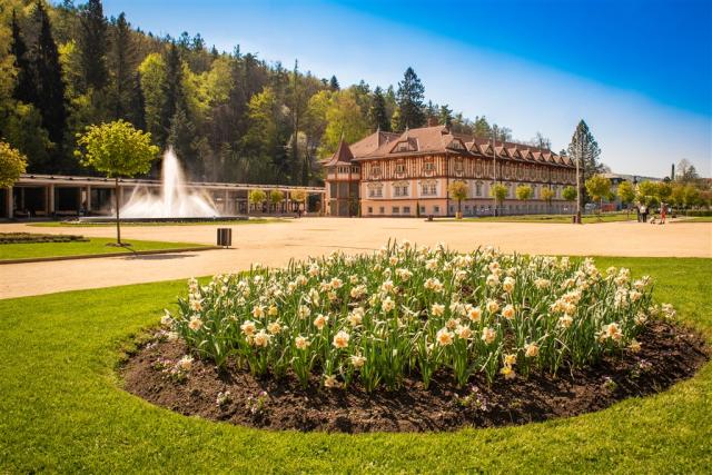 hotel-palace-ceska-republika-luhacovice-lazensky-areal.jpg