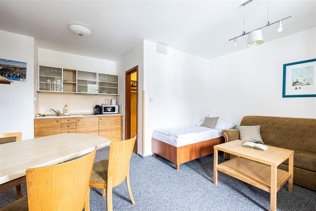 hotel-petrovy-kameny-ceska-republika-loucna-nad-desnou-apartman