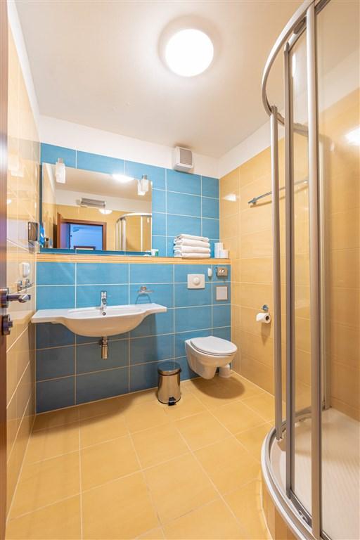 hotel-petrovy-kameny-ceska-republika-loucna-nad-desnou-apartman