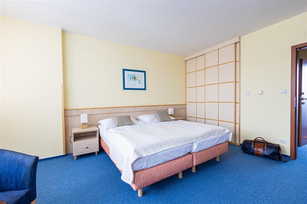 hotel-petrovy-kameny-ceska-republika-loucna-nad-desnou-apartman