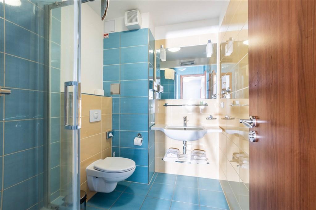 hotel-petrovy-kameny-ceska-republika-loucna-nad-desnou-apartman