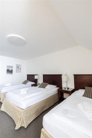 hotel-petrovy-kameny-ceska-republika-loucna-nad-desnou-apartman