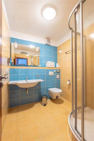 hotel-petrovy-kameny-ceska-republika-loucna-nad-desnou-apartman